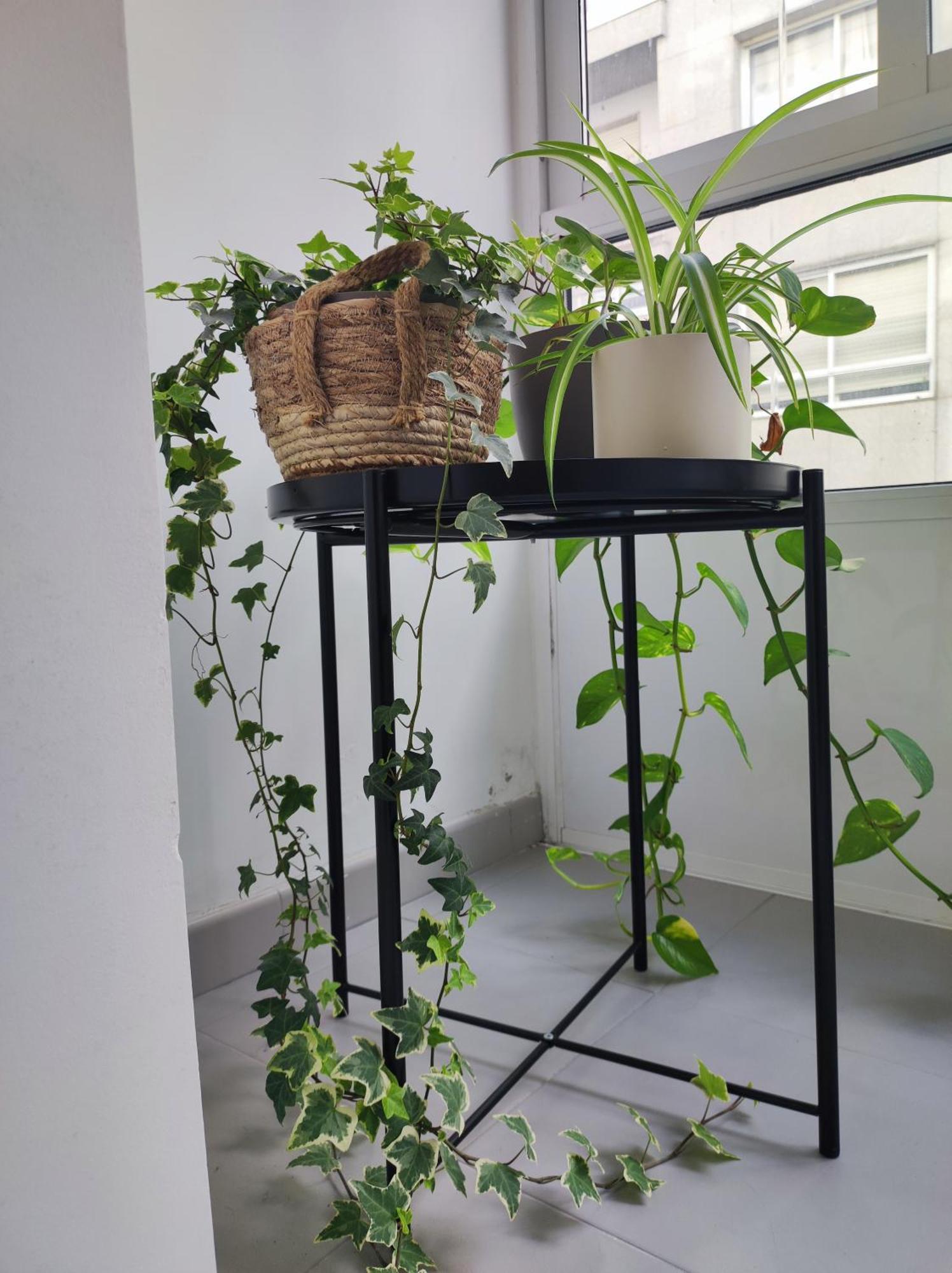 Apartamento Bolboreta Pontevedra Exterior foto